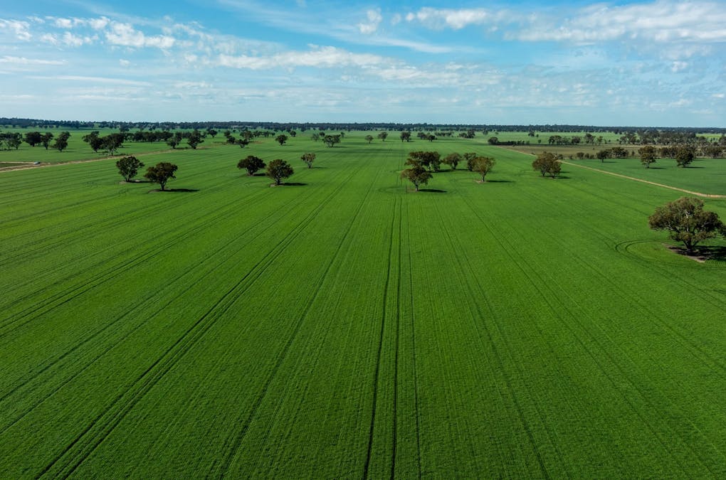 90 Kilnyana Road, Savernake, NSW, 2646 - Image 21