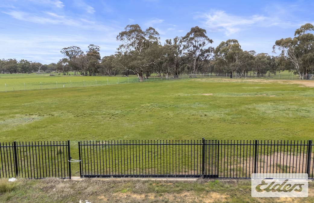 21 Blackney Drive, Avoca, VIC, 3467 - Image 4