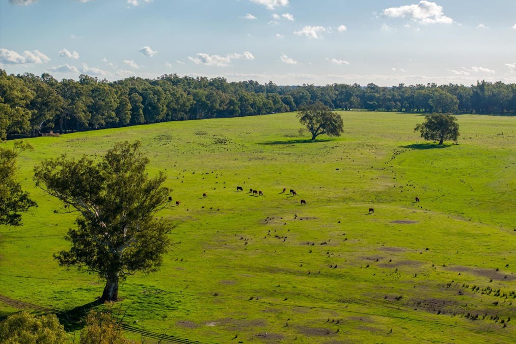2021 Old Narrandera Road, Wagga Wagga, NSW, 2650 - Image 7