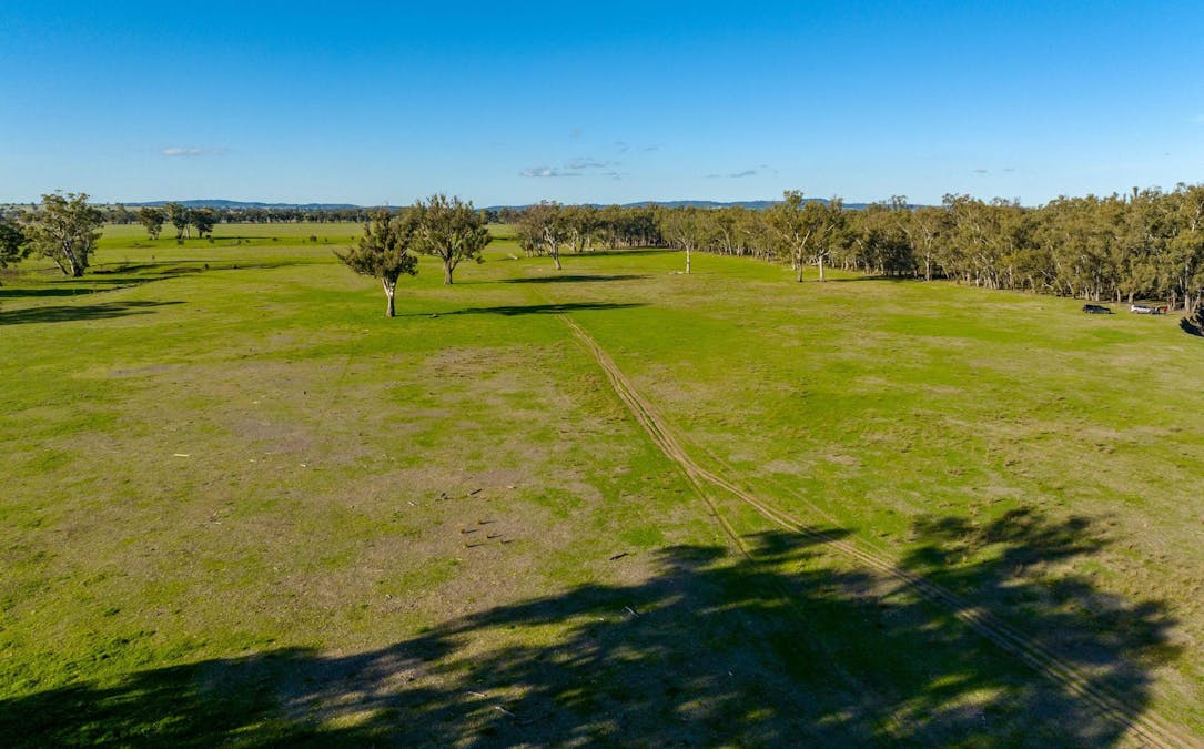 2021 Old Narrandera Road, Wagga Wagga, NSW, 2650 - Image 8