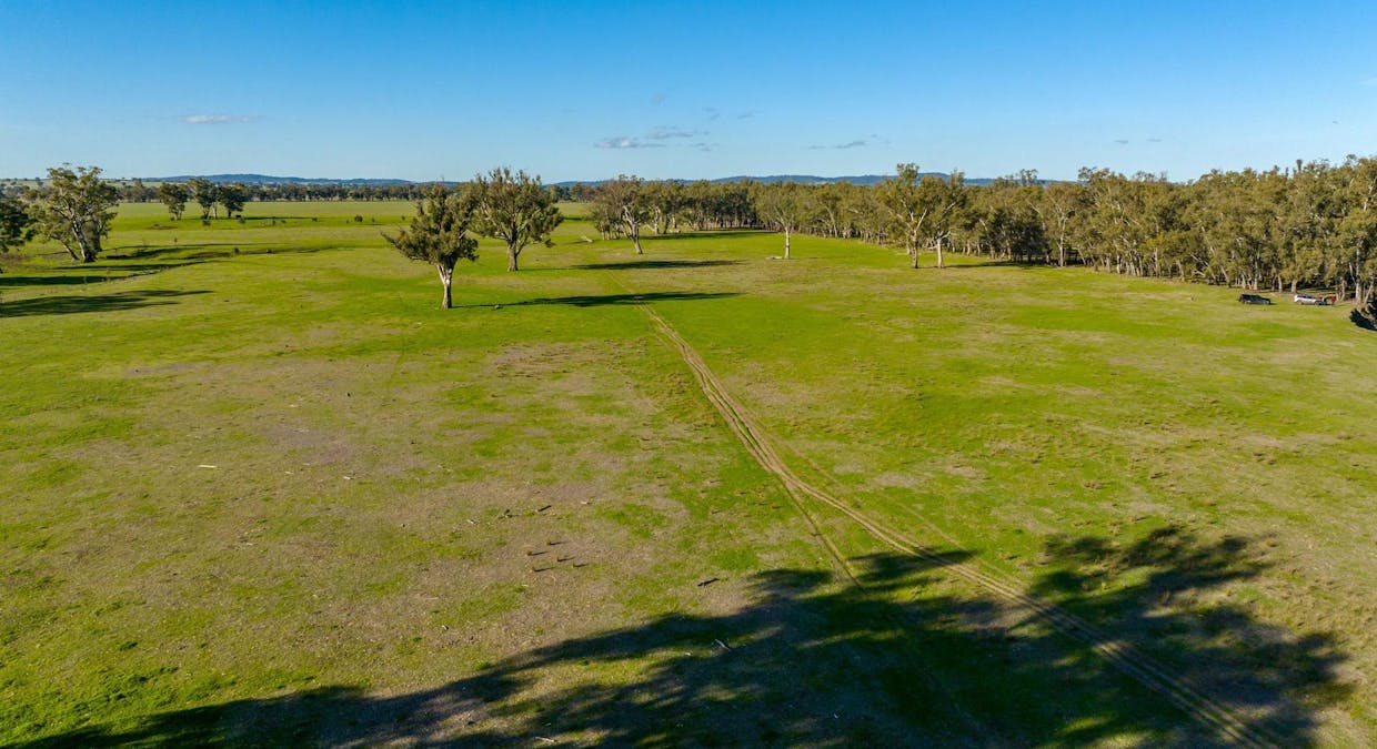 2021 Old Narrandera Road, Wagga Wagga, NSW, 2650 - Image 8