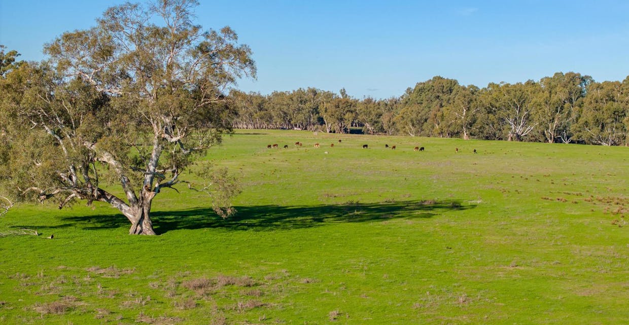 2021 Old Narrandera Road, Wagga Wagga, NSW, 2650 - Image 9