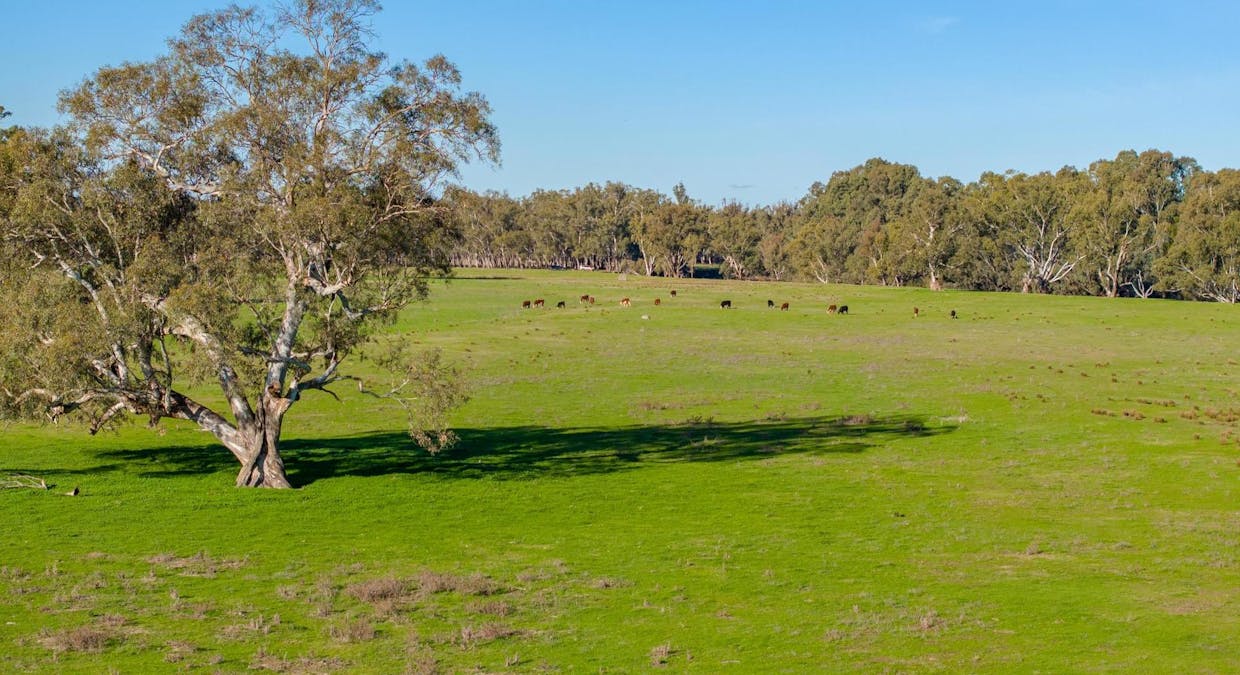 2021 Old Narrandera Road, Wagga Wagga, NSW, 2650 - Image 9