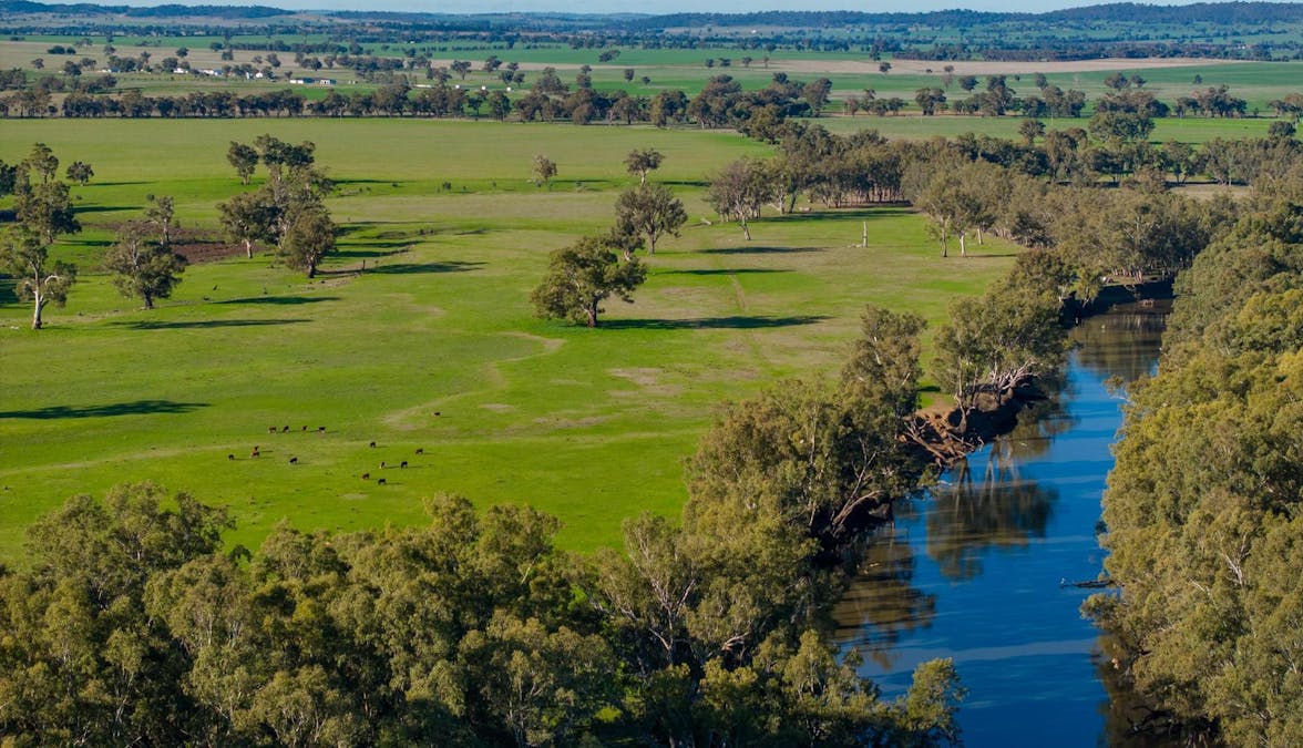 2021 Old Narrandera Road, Wagga Wagga, NSW, 2650 - Image 4