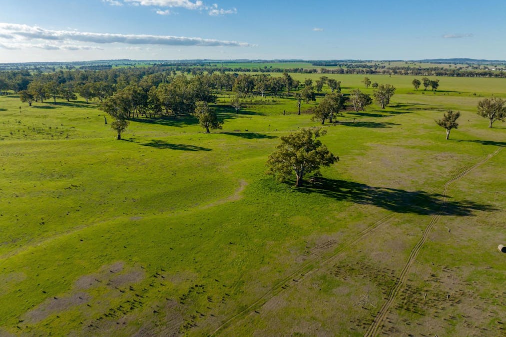 2021 Old Narrandera Road, Wagga Wagga, NSW, 2650 - Image 11