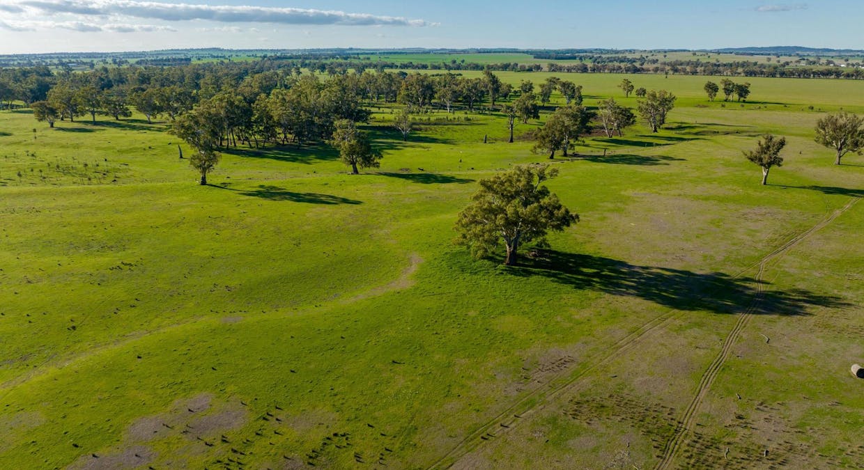 2021 Old Narrandera Road, Wagga Wagga, NSW, 2650 - Image 11