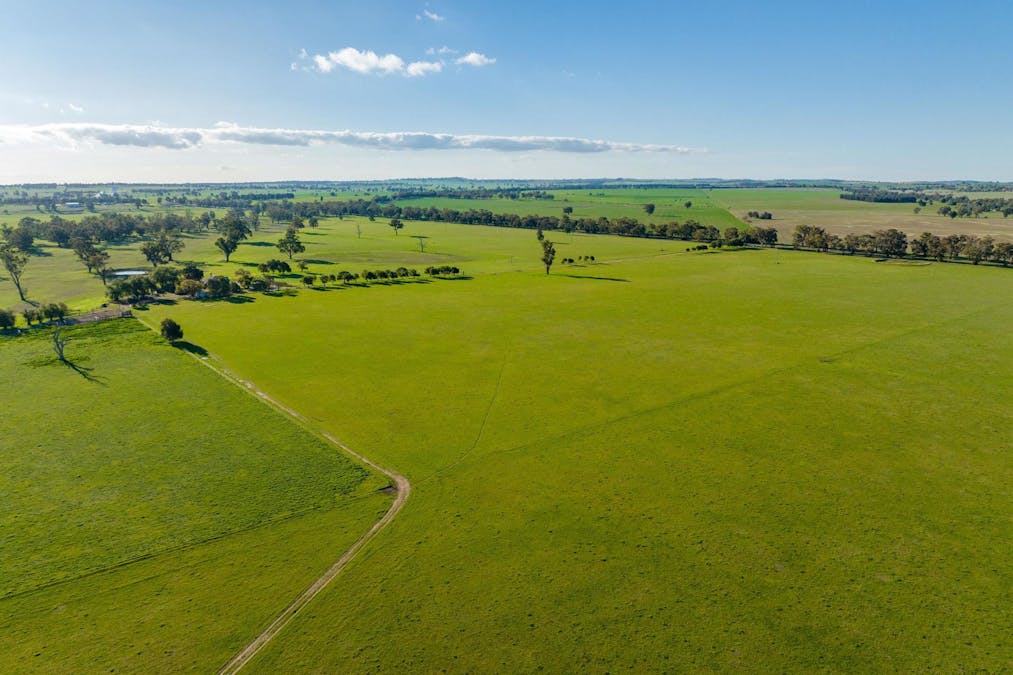 2021 Old Narrandera Road, Wagga Wagga, NSW, 2650 - Image 13