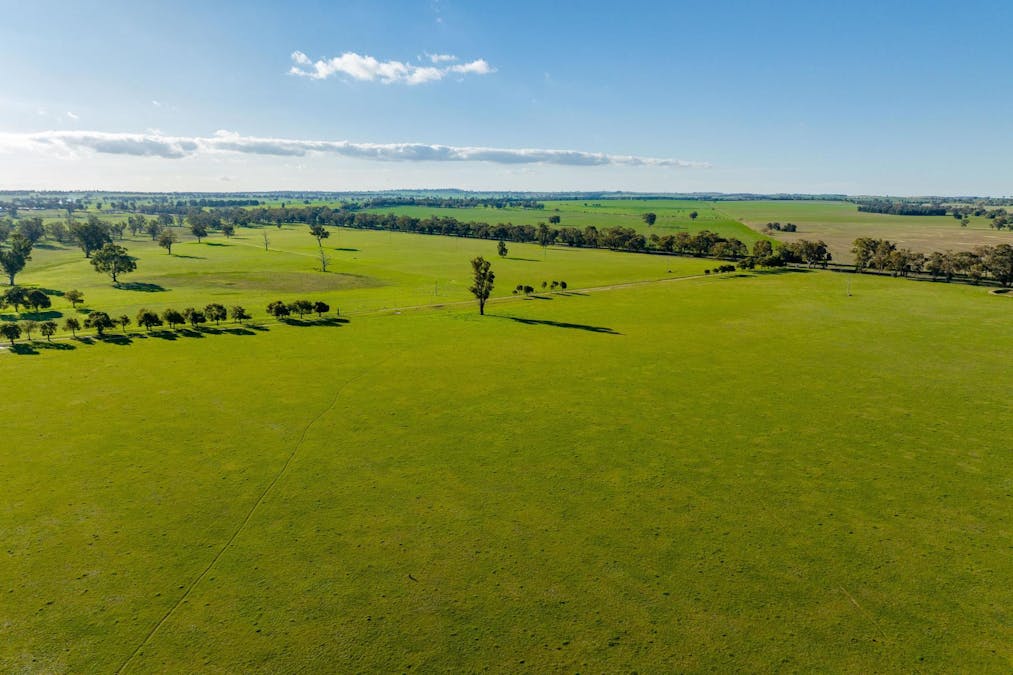 2021 Old Narrandera Road, Wagga Wagga, NSW, 2650 - Image 14