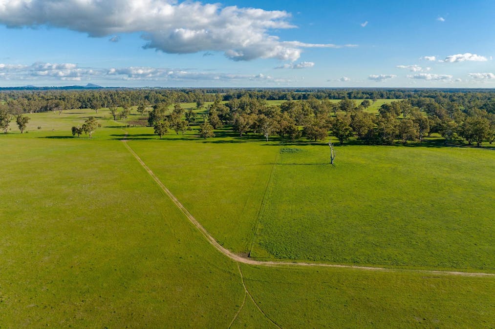 2021 Old Narrandera Road, Wagga Wagga, NSW, 2650 - Image 15