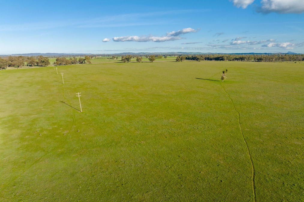2021 Old Narrandera Road, Wagga Wagga, NSW, 2650 - Image 16