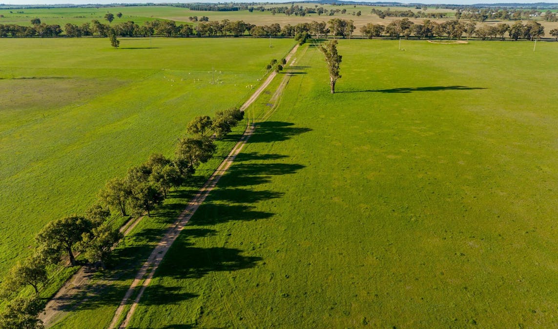 2021 Old Narrandera Road, Wagga Wagga, NSW, 2650 - Image 17