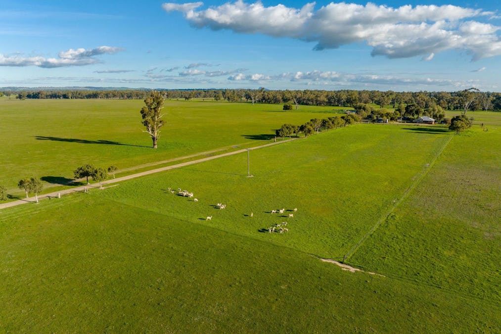2021 Old Narrandera Road, Wagga Wagga, NSW, 2650 - Image 19