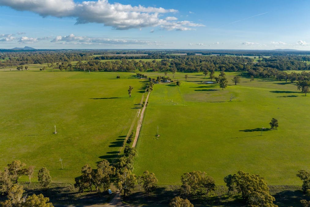 2021 Old Narrandera Road, Wagga Wagga, NSW, 2650 - Image 20