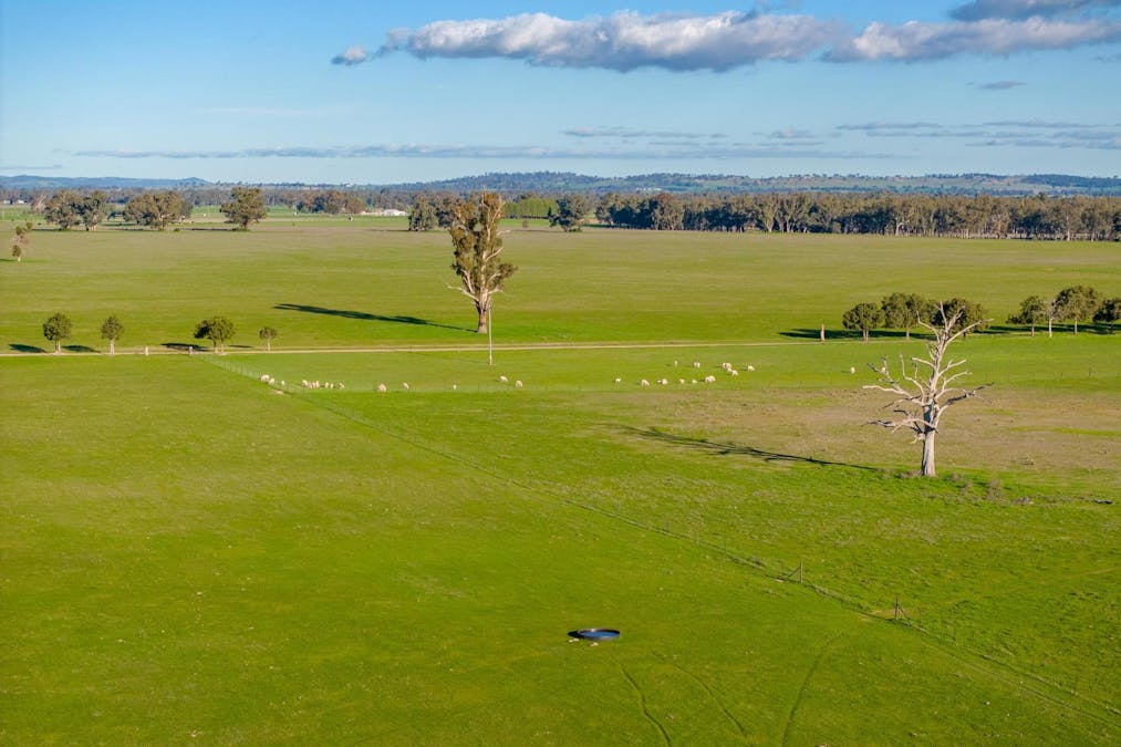 2021 Old Narrandera Road, Wagga Wagga, NSW, 2650 - Image 21