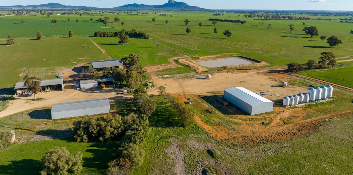 621 The Rock-Collingullie Road, The Rock, NSW, 2655 - Image 3