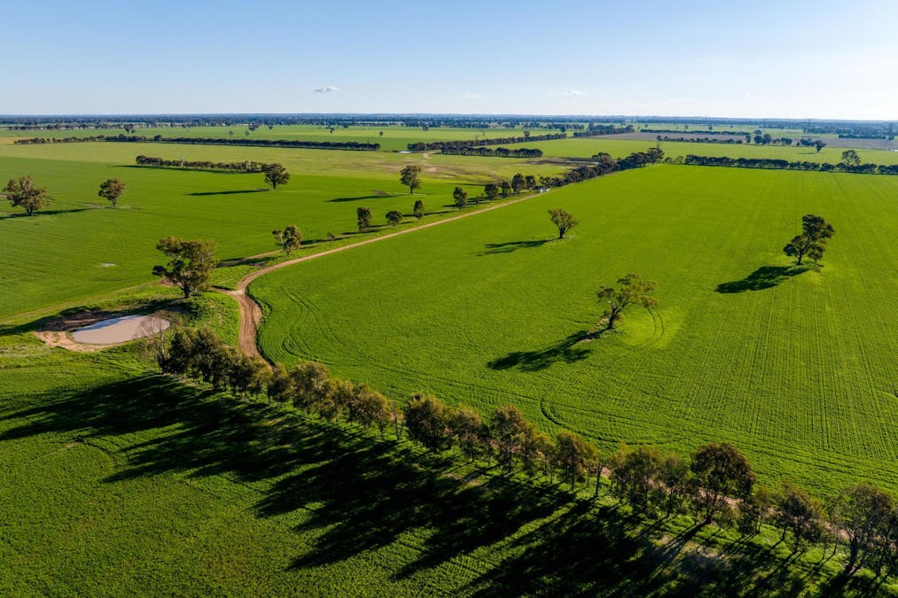 621 The Rock-Collingullie Road, The Rock, NSW, 2655 - Image 13