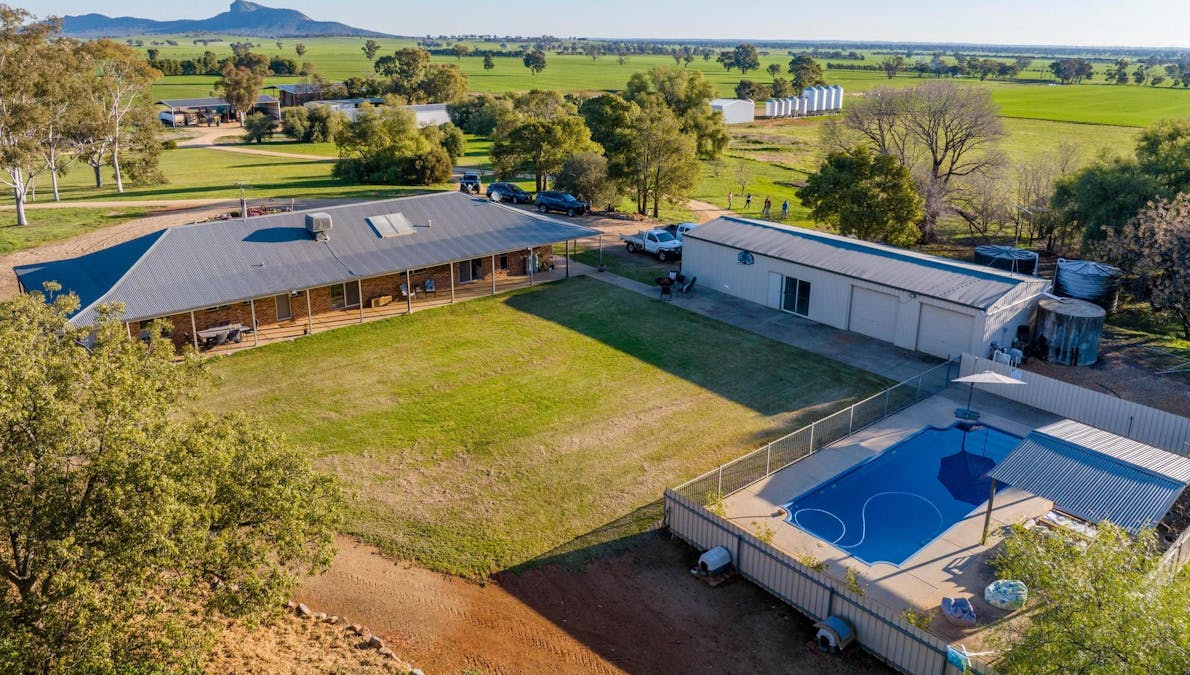 621 The Rock-Collingullie Road, The Rock, NSW, 2655 - Image 7