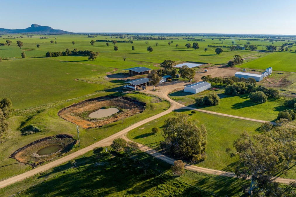 621 The Rock-Collingullie Road, The Rock, NSW, 2655 - Image 5
