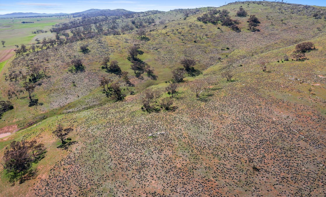 235e/Appila-Tarcowie Road, Tarcowie, SA, 5431 - Image 16