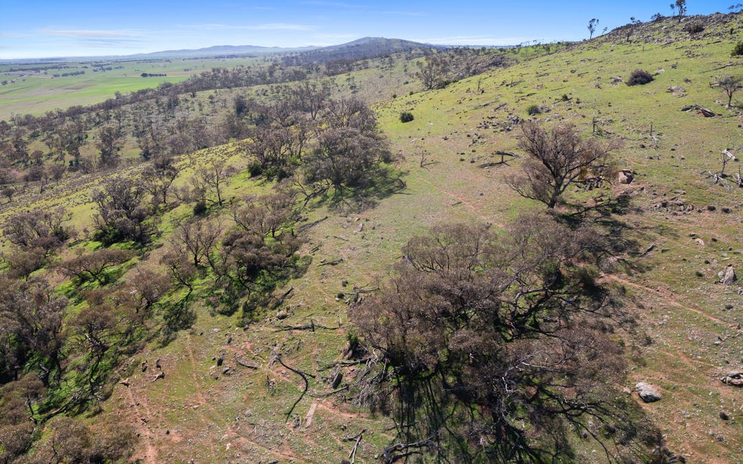 235e/Appila-Tarcowie Road, Tarcowie, SA, 5431 - Image 17