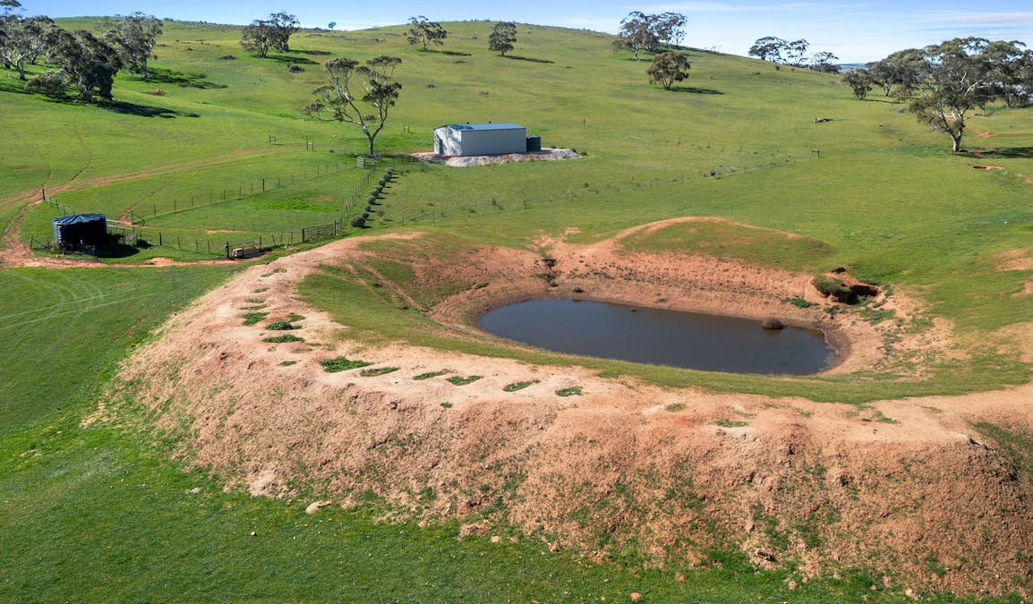 235e/Appila-Tarcowie Road, Tarcowie, SA, 5431 - Image 15