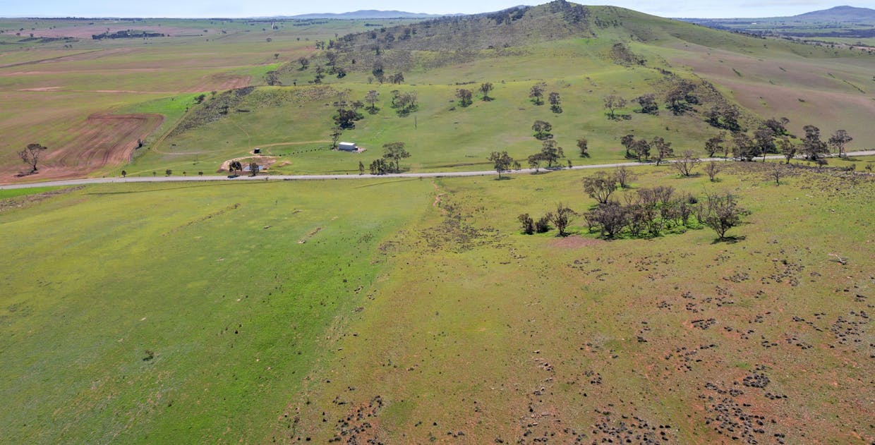 235e/Appila-Tarcowie Road, Tarcowie, SA, 5431 - Image 4