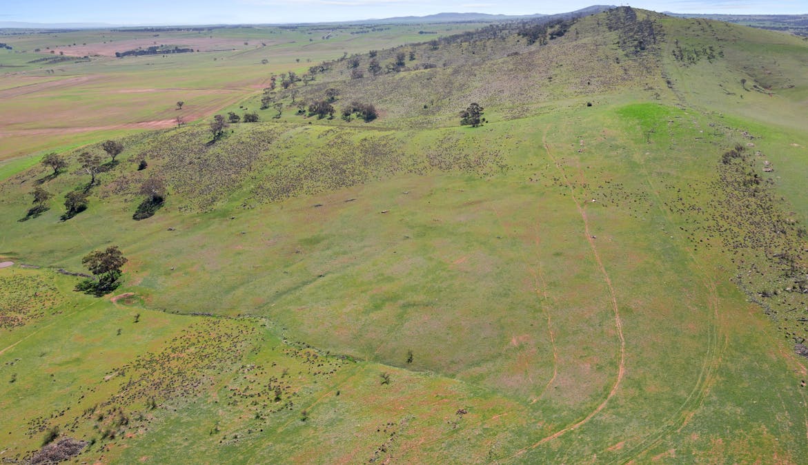235e/Appila-Tarcowie Road, Tarcowie, SA, 5431 - Image 18