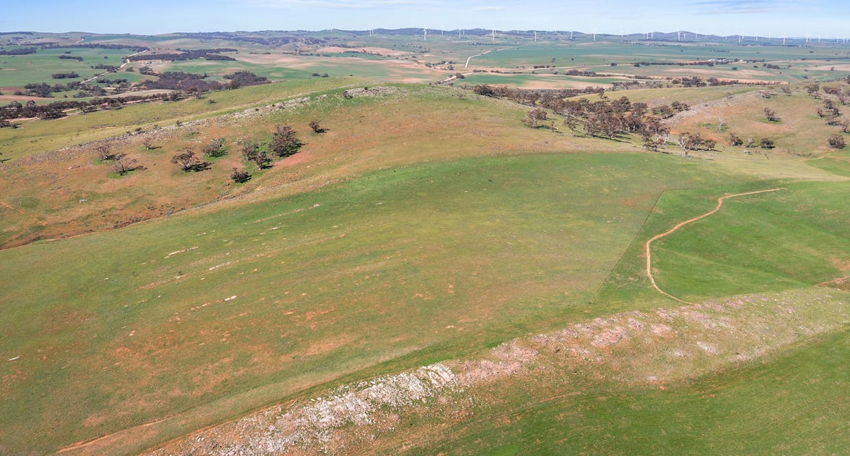 235e/Appila-Tarcowie Road, Tarcowie, SA, 5431 - Image 19