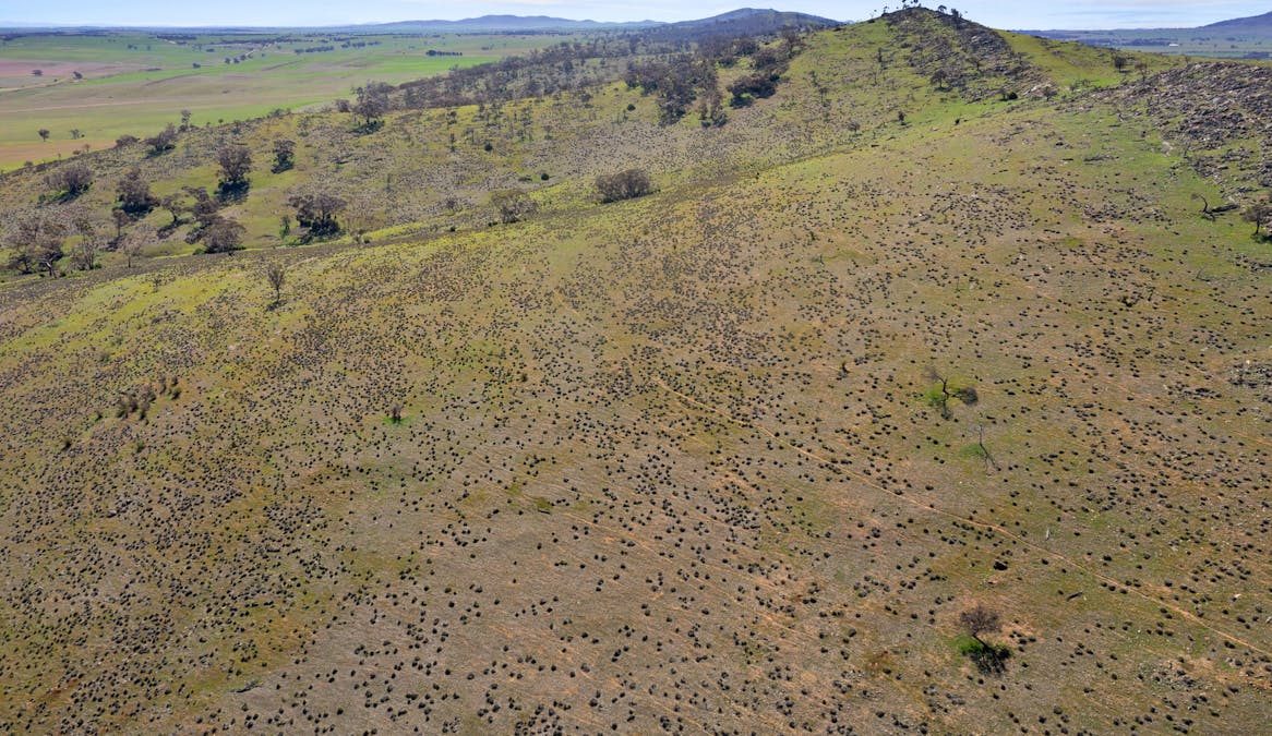 235e/Appila-Tarcowie Road, Tarcowie, SA, 5431 - Image 20