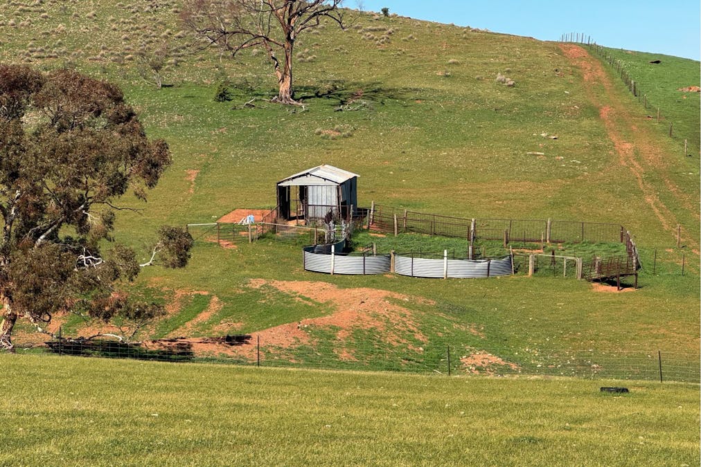 235e/Appila-Tarcowie Road, Tarcowie, SA, 5431 - Image 21