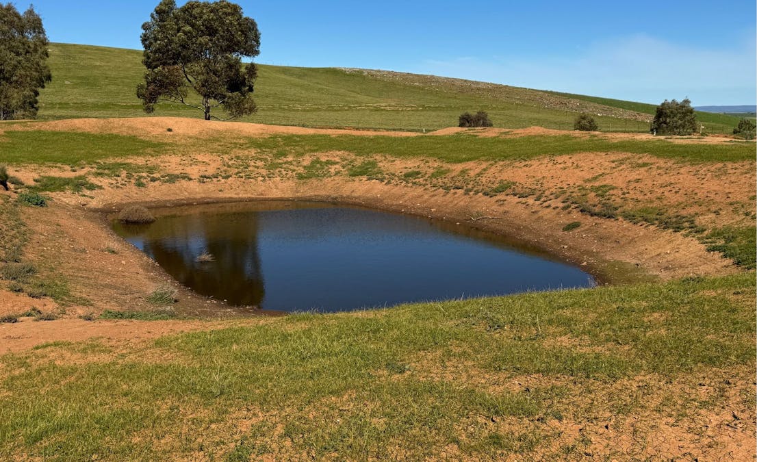 235e/Appila-Tarcowie Road, Tarcowie, SA, 5431 - Image 7