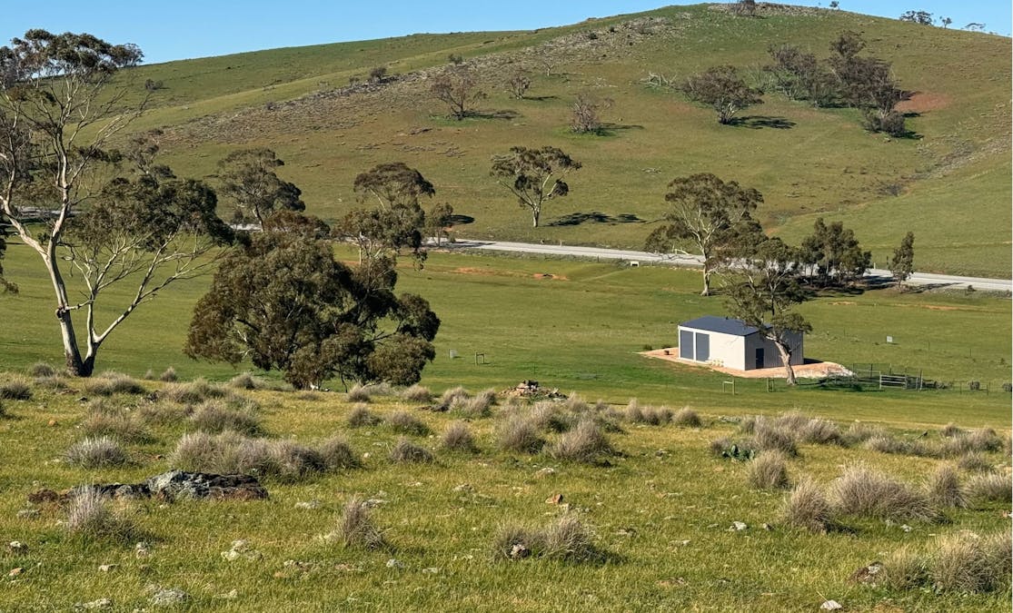 235e/Appila-Tarcowie Road, Tarcowie, SA, 5431 - Image 5