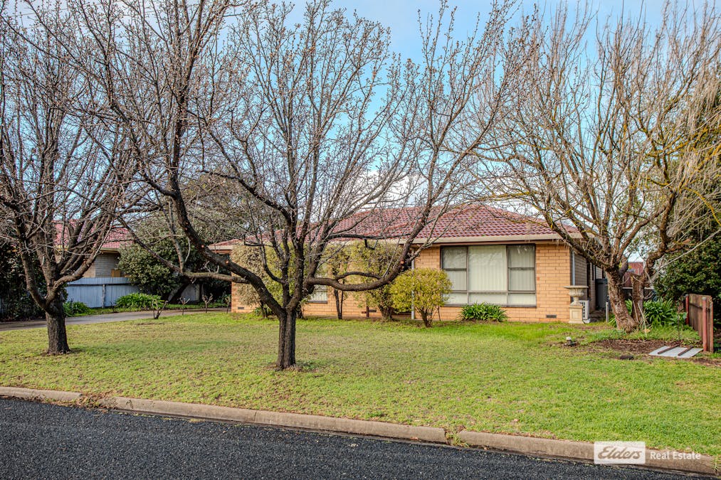 4 Freeling Street, Naracoorte, SA, 5271 - Image 21