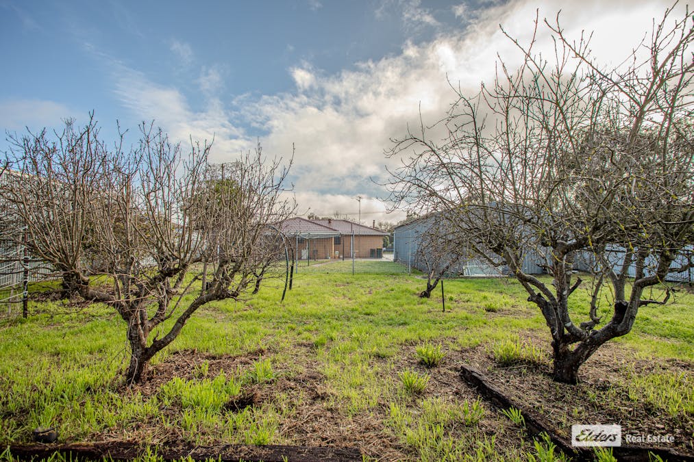 4 Freeling Street, Naracoorte, SA, 5271 - Image 16