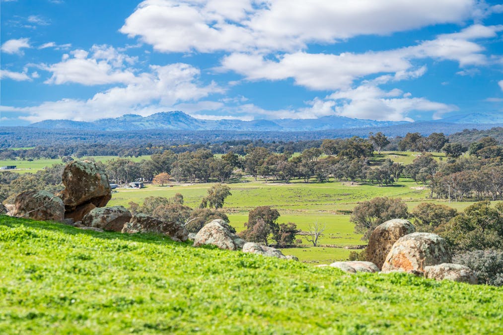 Rocky Creek Road, Springhurst, VIC, 3682 - Image 7
