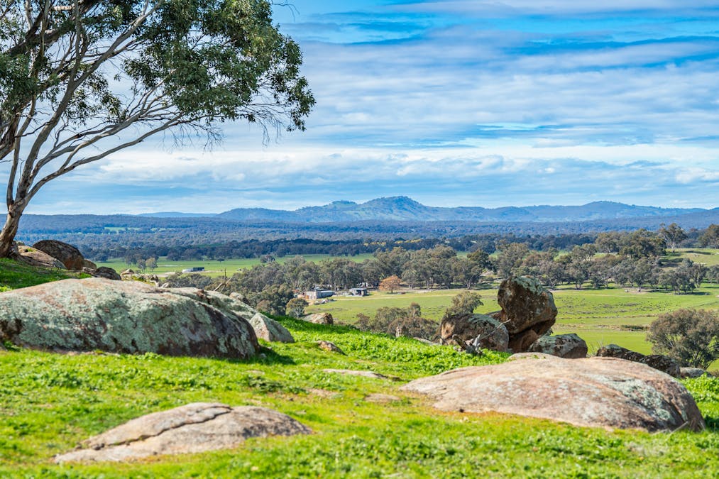Rocky Creek Road, Springhurst, VIC, 3682 - Image 3