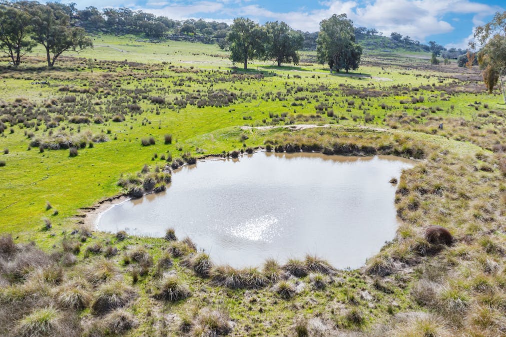 Rocky Creek Road, Springhurst, VIC, 3682 - Image 5