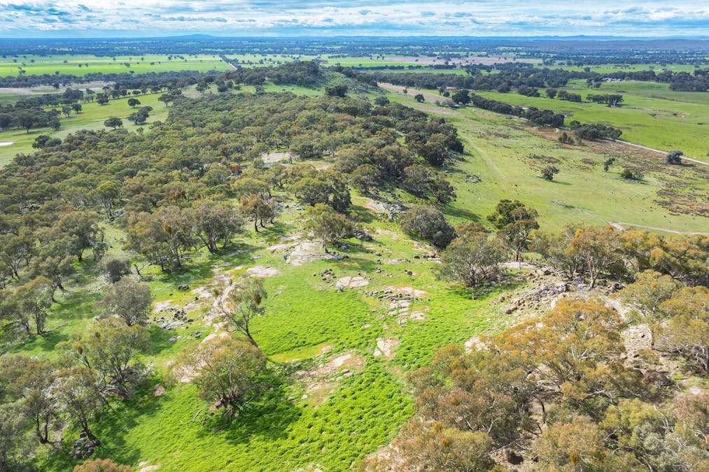 Rocky Creek Road, Springhurst, VIC, 3682 - Image 12