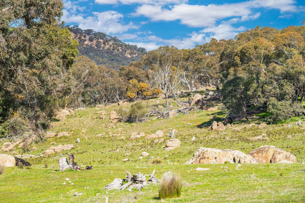 Rocky Creek Road, Springhurst, VIC, 3682 - Image 6