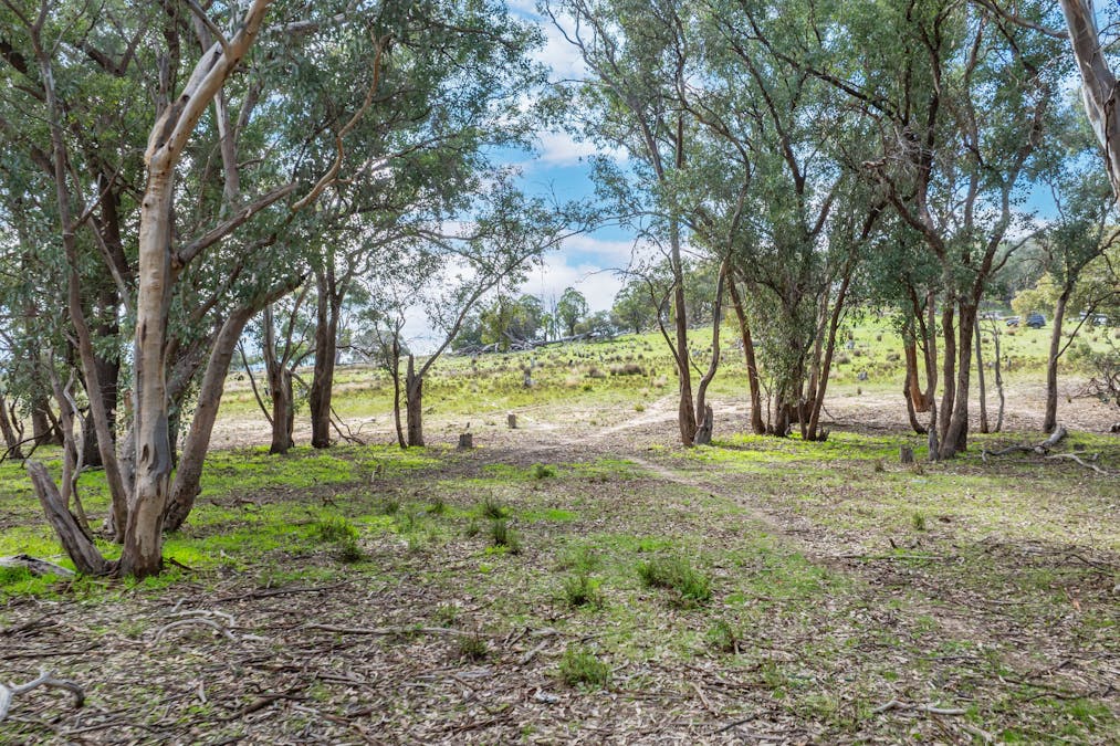 Rocky Creek Road, Springhurst, VIC, 3682 - Image 9