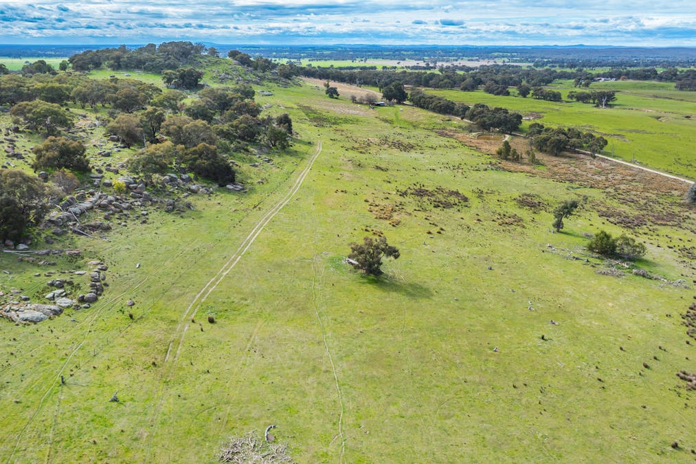 Rocky Creek Road, Springhurst, VIC, 3682 - Image 10