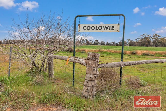 321 Stud Park Road, Deniliquin, NSW, 2710 - Image 1