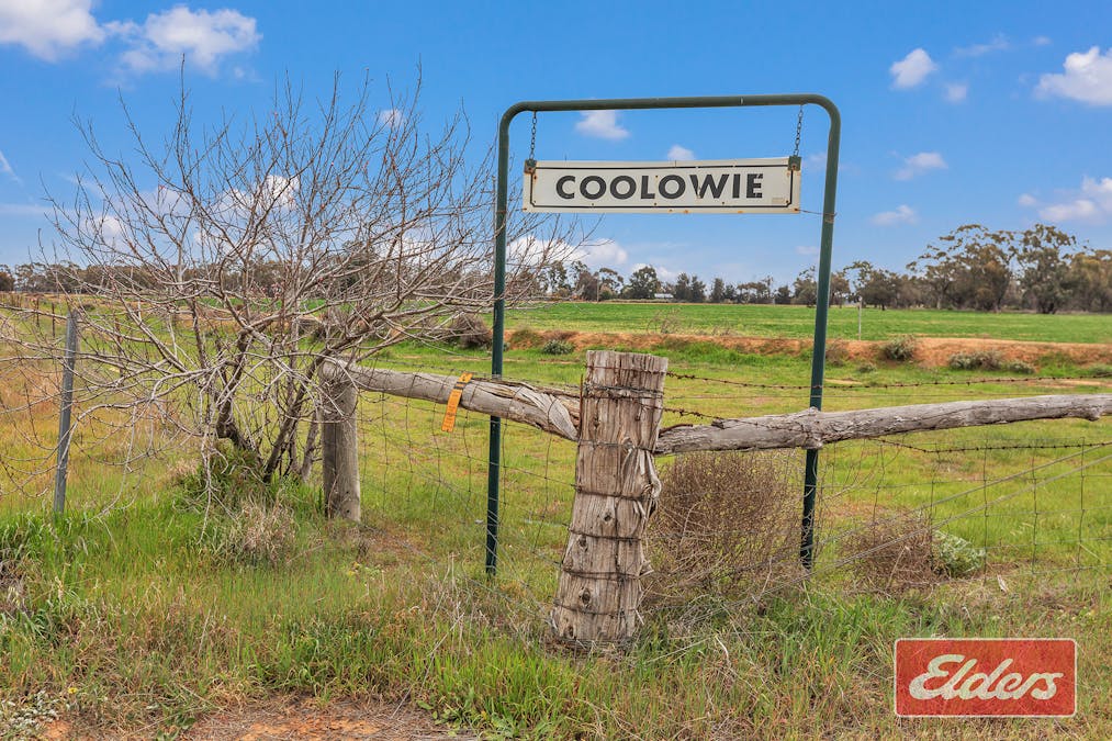 321 Stud Park Road, Deniliquin, NSW, 2710 - Image 2