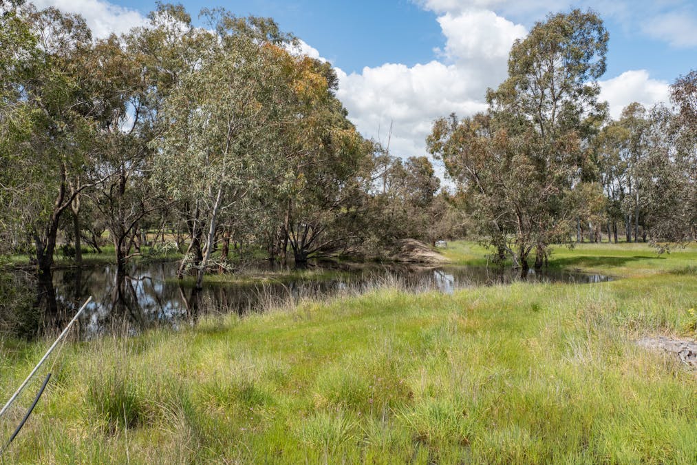 273 Young Road, Baldivis, WA, 6171 - Image 32