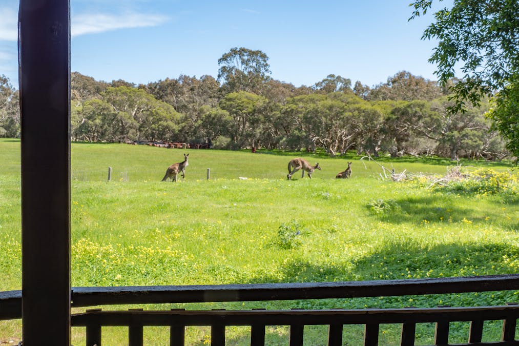273 Young Road, Baldivis, WA, 6171 - Image 30