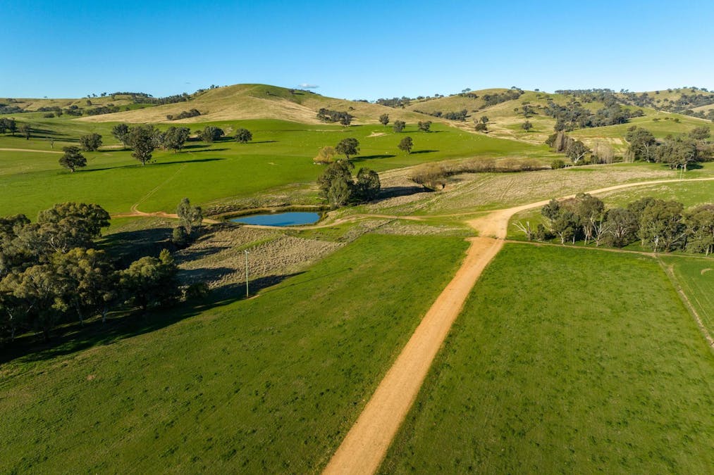 8232 Tumbarumba Road, Wagga Wagga, NSW, 2650 - Image 5