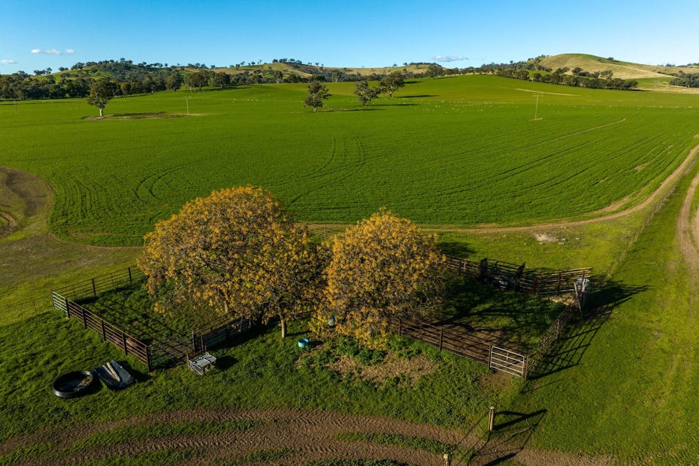 8232 Tumbarumba Road, Wagga Wagga, NSW, 2650 - Image 6