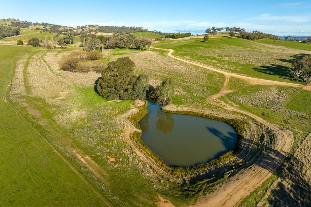 8232 Tumbarumba Road, Wagga Wagga, NSW, 2650 - Image 7