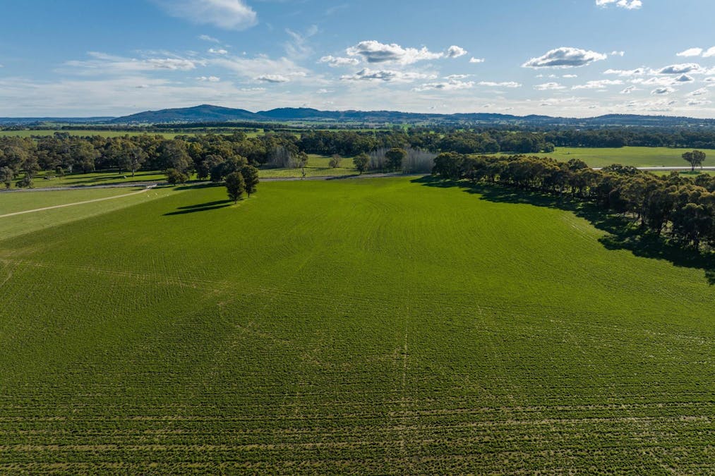8232 Tumbarumba Road, Wagga Wagga, NSW, 2650 - Image 8