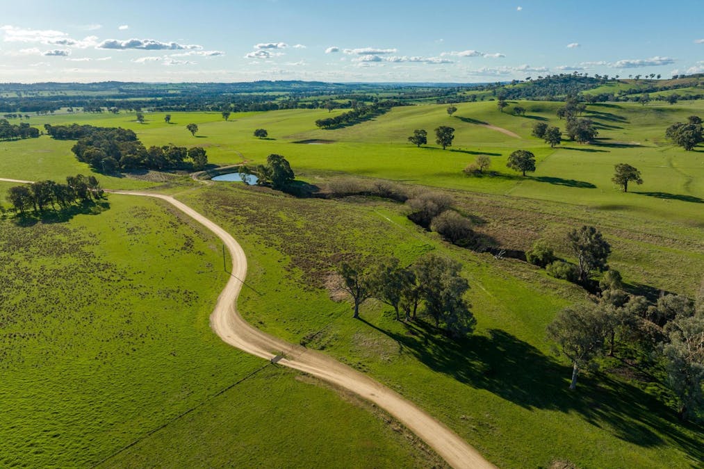 8232 Tumbarumba Road, Wagga Wagga, NSW, 2650 - Image 9